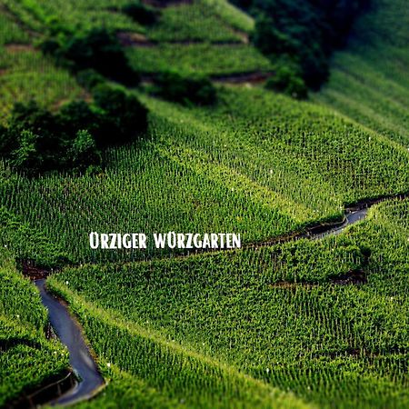Apartment Weingut Dr Hermann I Erden المظهر الخارجي الصورة