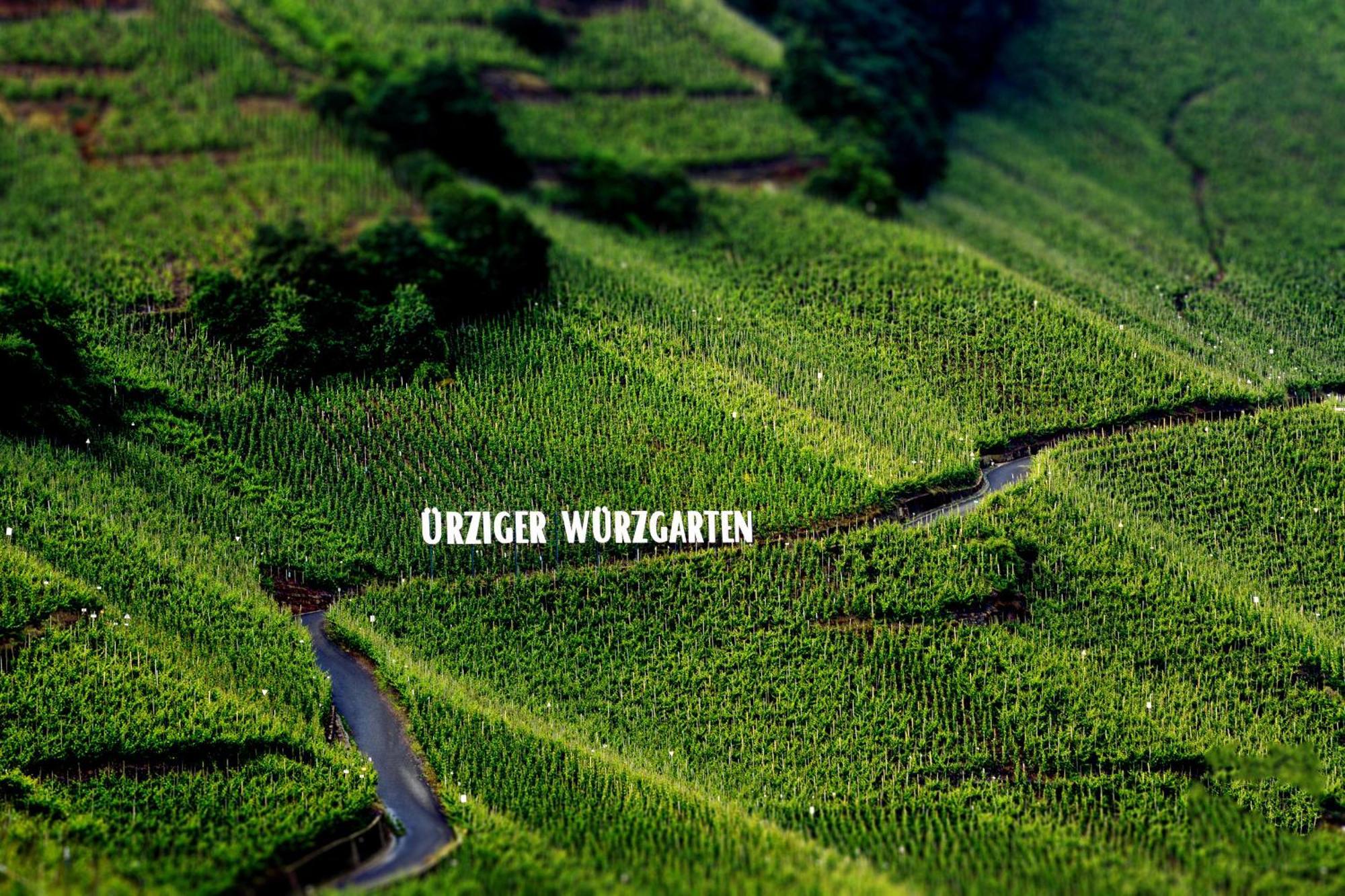 Apartment Weingut Dr Hermann I Erden المظهر الخارجي الصورة